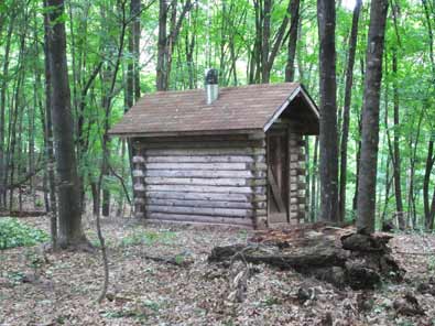 Log Cabin Outhouse
