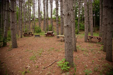 Fisher's Knoll Campsite