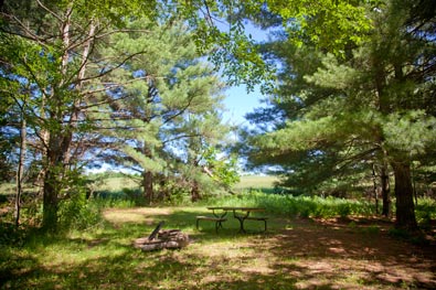 The Pines Campsite